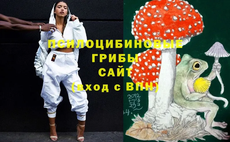 Псилоцибиновые грибы Magic Shrooms  Балтийск 